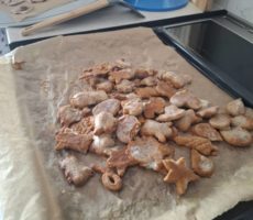 582714094_122254122248173906_5176063800576379496_n